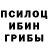 Псилоцибиновые грибы GOLDEN TEACHER Valli ANDRIA