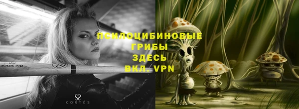 прущая мука Абаза