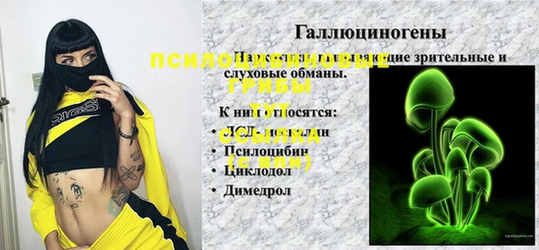 прущая мука Абаза