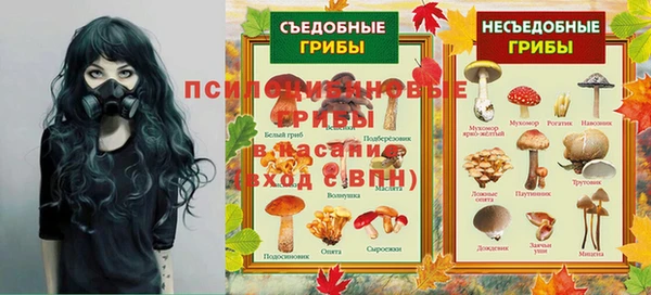 прущая мука Абаза