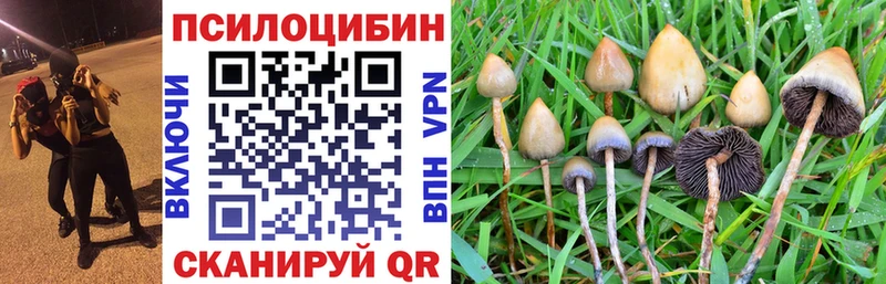Галлюциногенные грибы ЛСД  Остров 